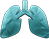 gland