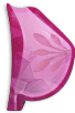 gland